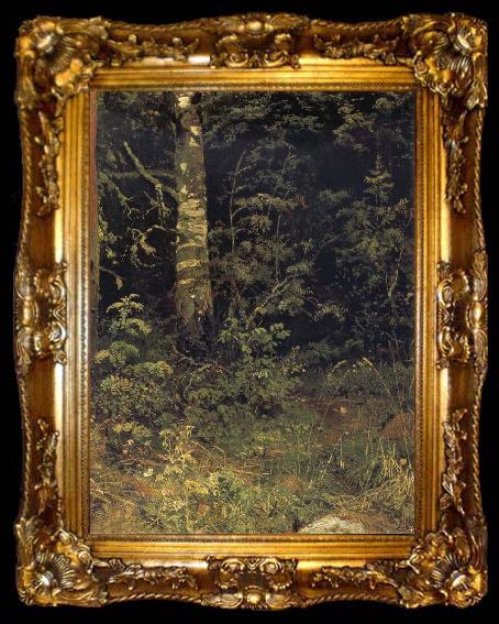 framed  Ivan Shishkin Silver birch and mountain ash, ta009-2